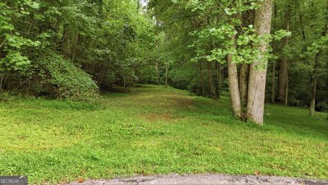 315 Duncan Bridge Lane Cornelia GA 30531