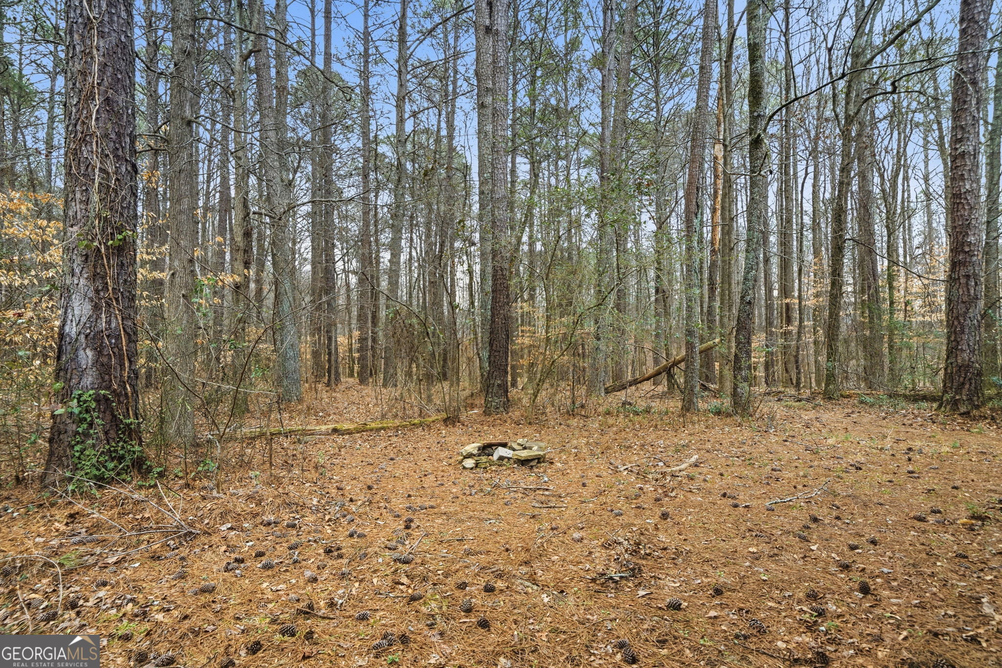 7285 Wyngate Drive Cumming GA 30040
