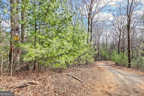 1068 Coleman River Road Clayton GA 30525