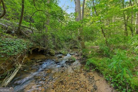 57 Ashleywood Drive Dahlonega GA 30533