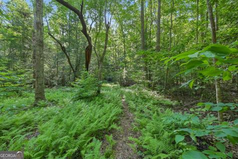 57 Ashleywood Drive Dahlonega GA 30533