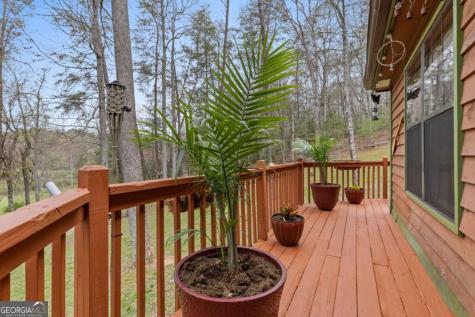 541 Black Ankle Creek Road Cherry Log GA 30522