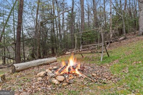 541 Black Ankle Creek Road Cherry Log GA 30522