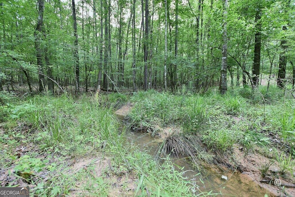 21921 Highway 0315 Waverly Hall GA 31831