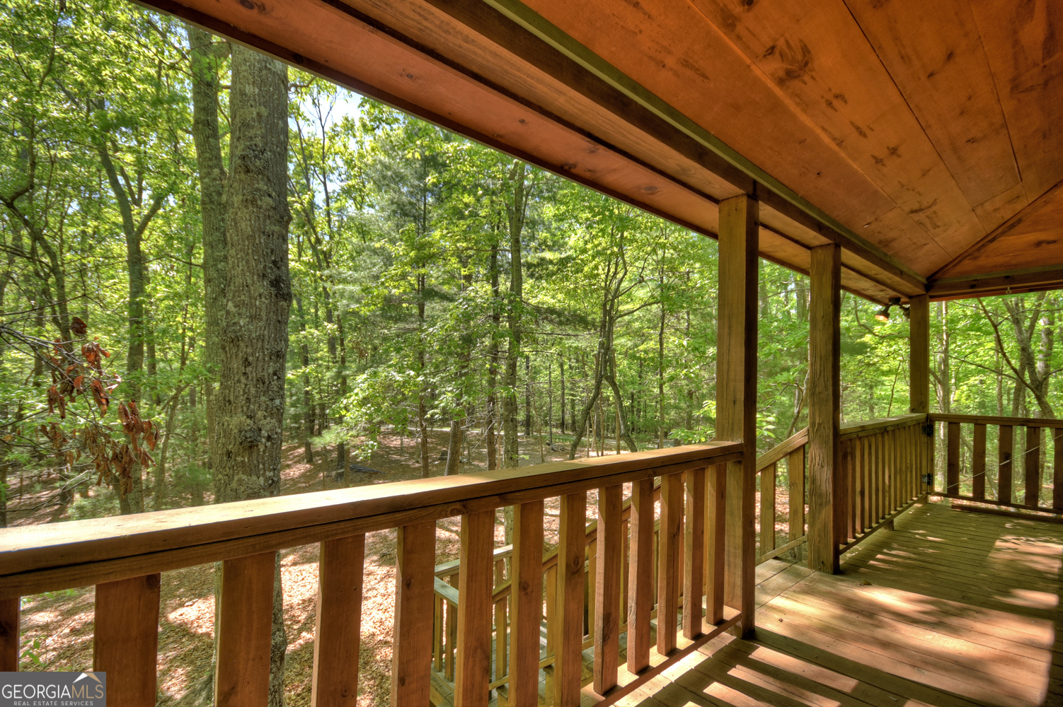 47 Blue Sky Drive Blue Ridge GA 30513