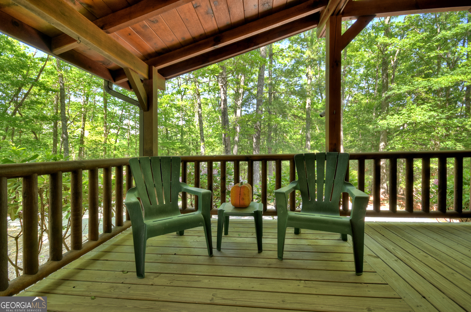 47 Blue Sky Drive Blue Ridge GA 30513