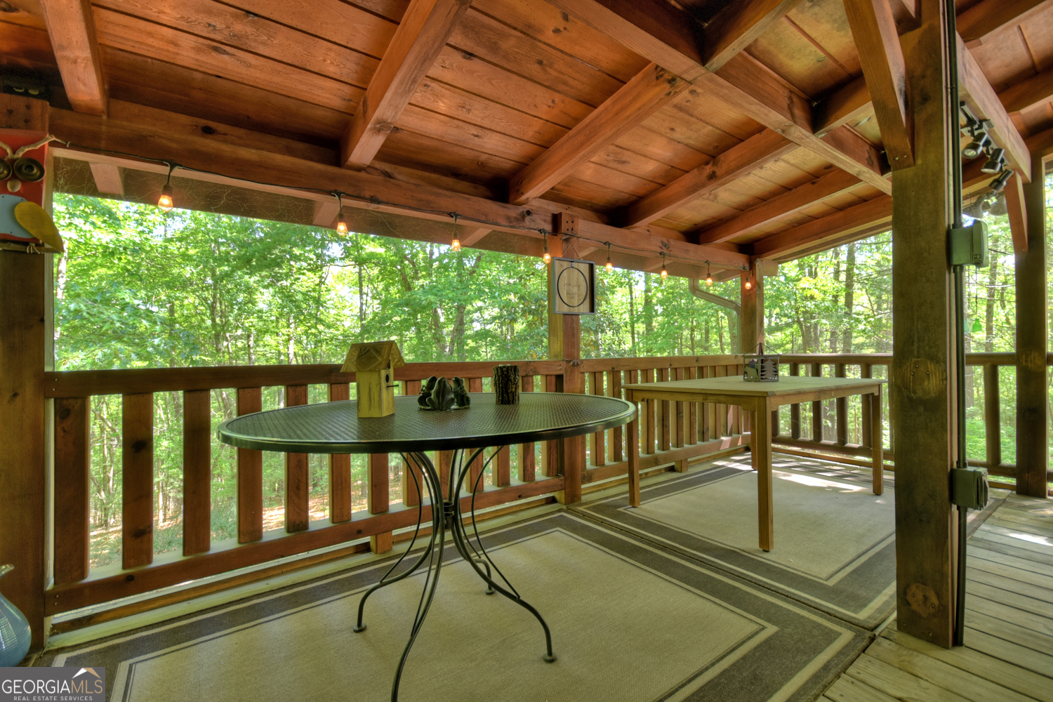 47 Blue Sky Drive Blue Ridge GA 30513