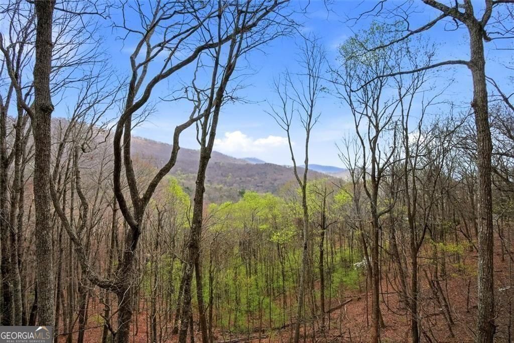 511 Hickory Trail Jasper GA 30143