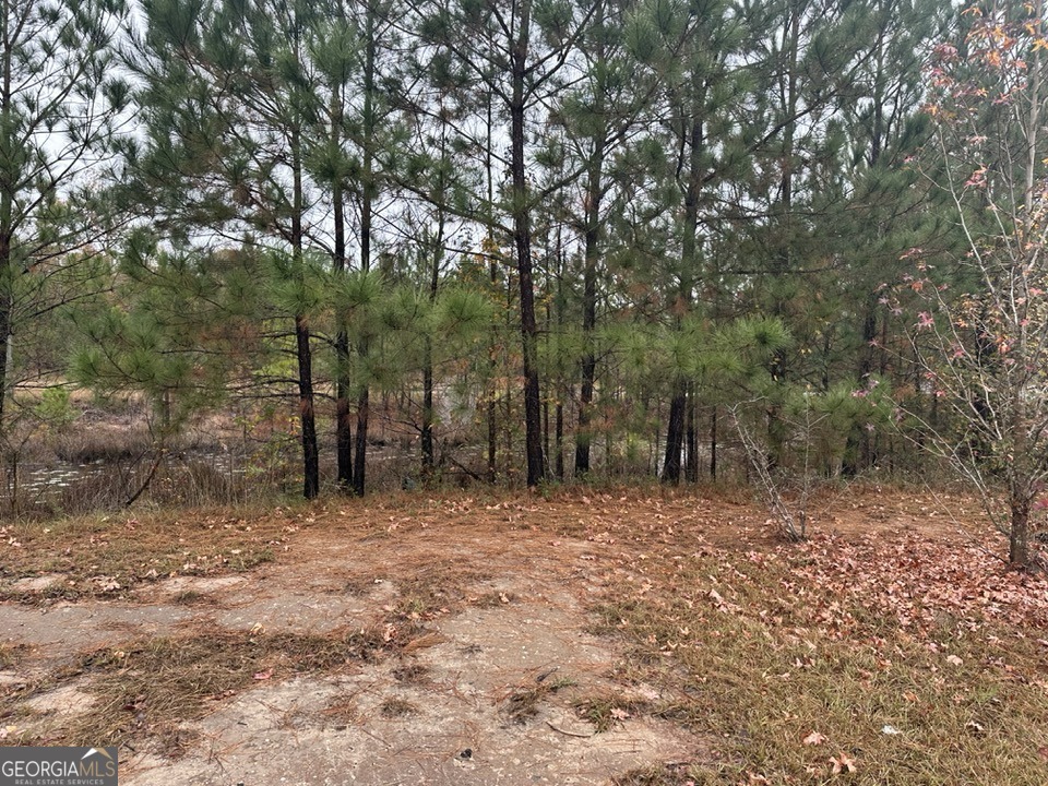 73 Tondee Way Midway GA 31320