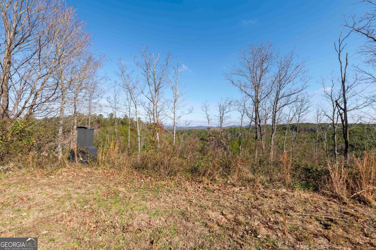 946 Hightower Loop Road NE Ranger GA 30734