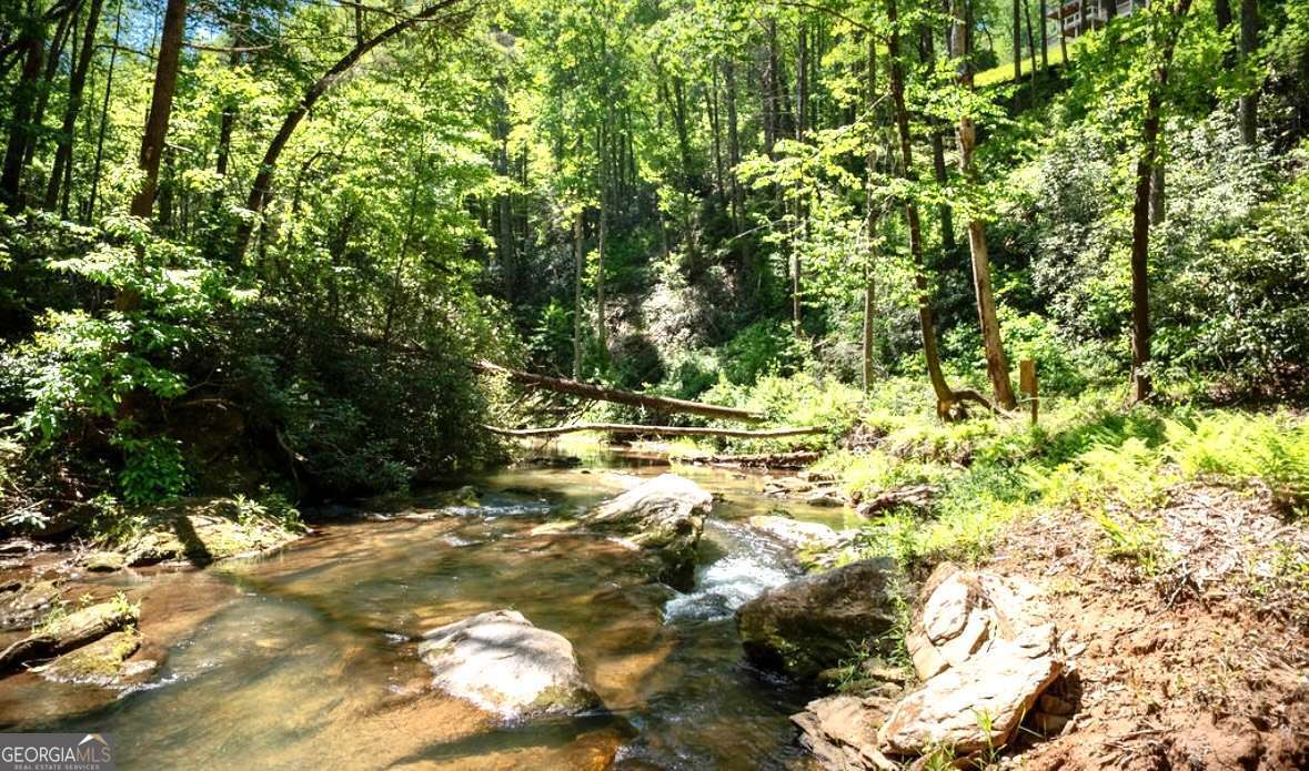 106 Nimblewill Overlook Dahlonega GA 30533