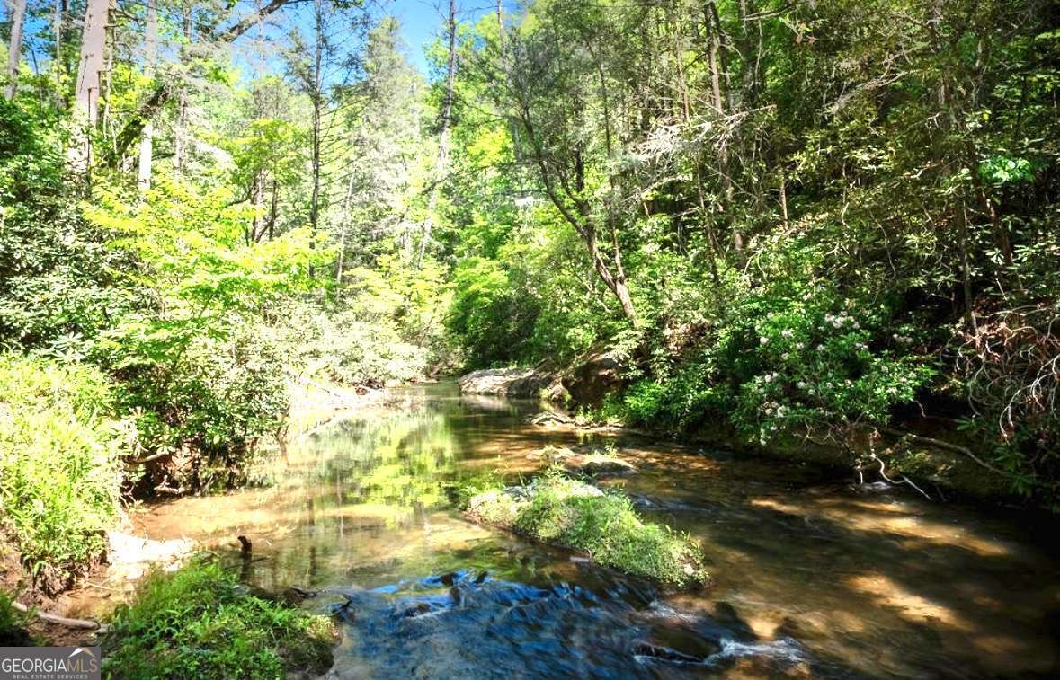 106 Nimblewill Overlook Dahlonega GA 30533