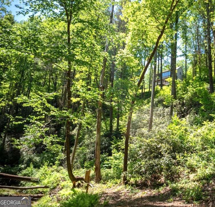 106 Nimblewill Overlook Dahlonega GA 30533