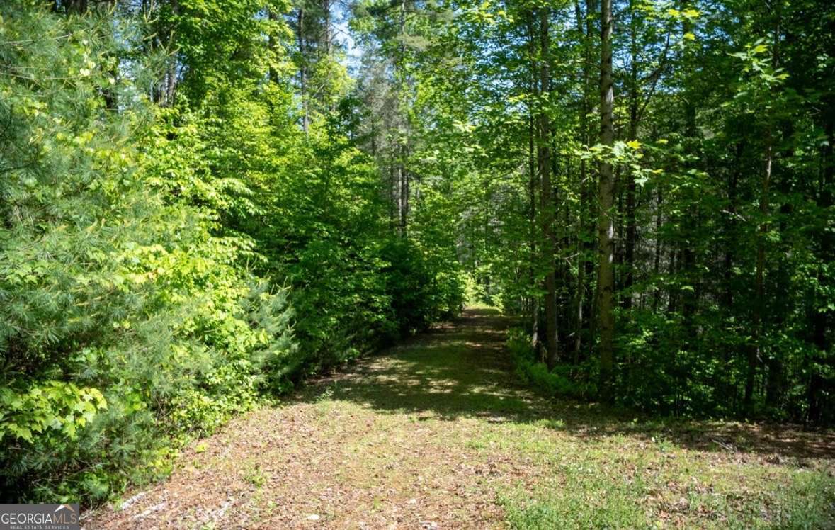 106 Nimblewill Overlook Dahlonega GA 30533