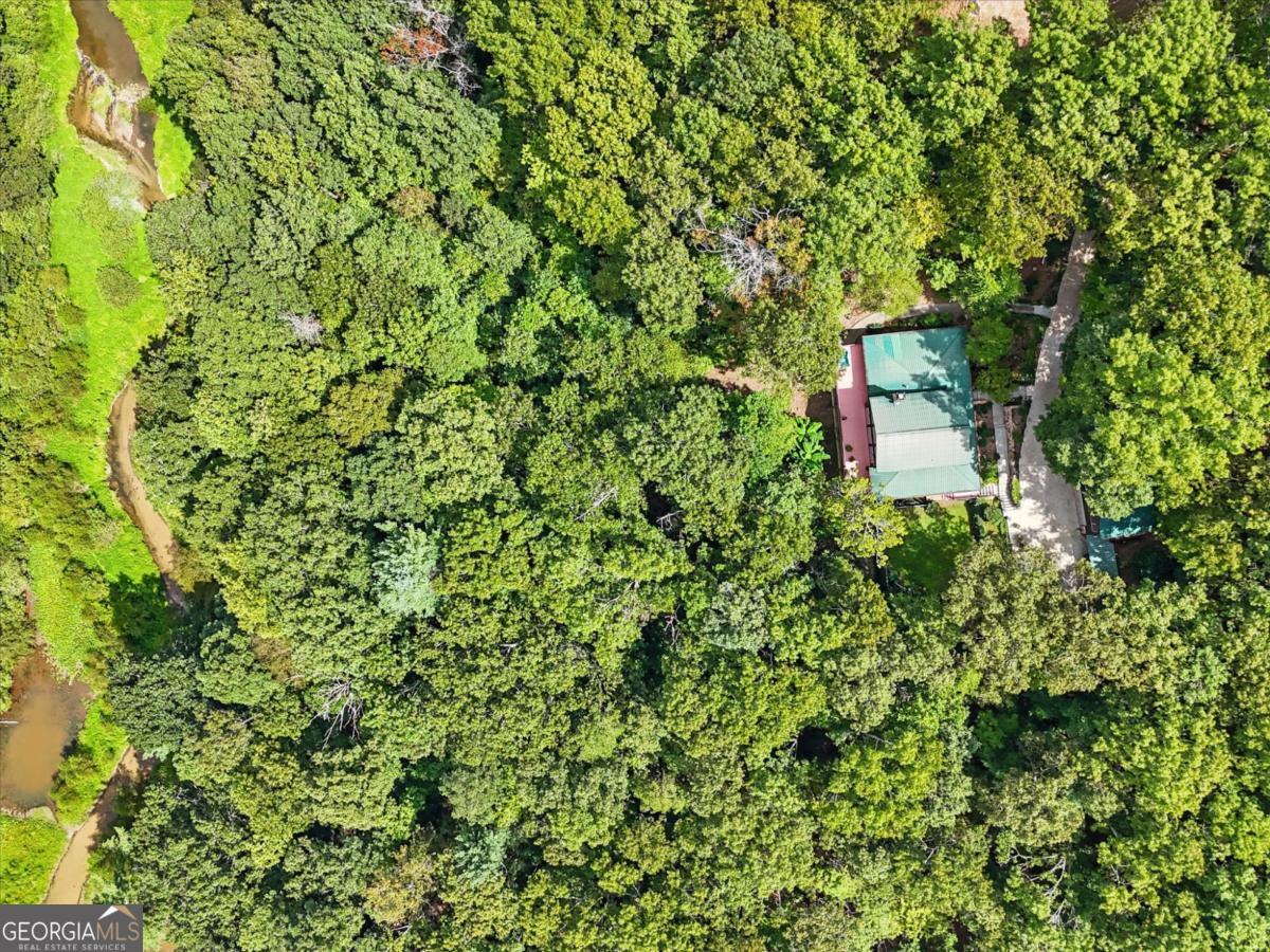 384 Mountain Laurel Drive Ellijay GA 30540