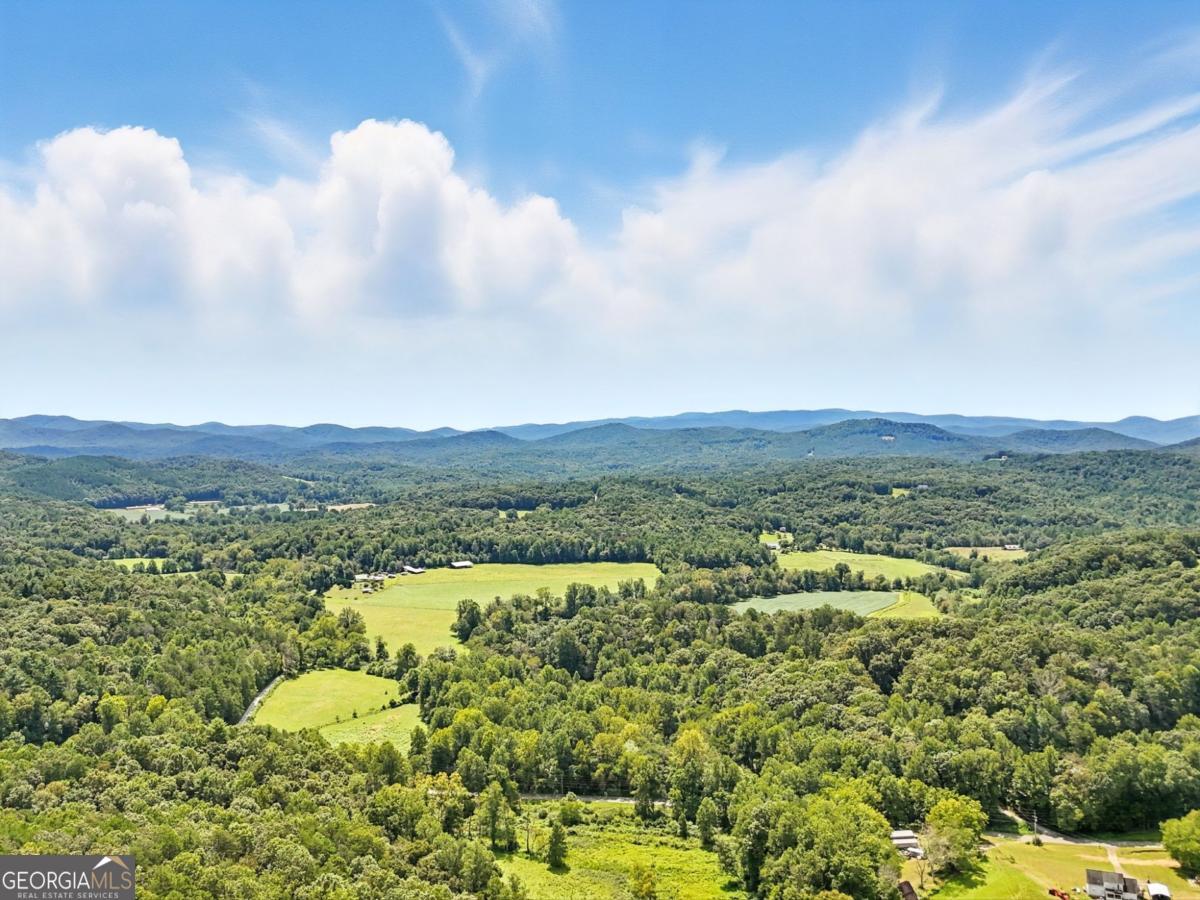 384 Mountain Laurel Drive Ellijay GA 30540