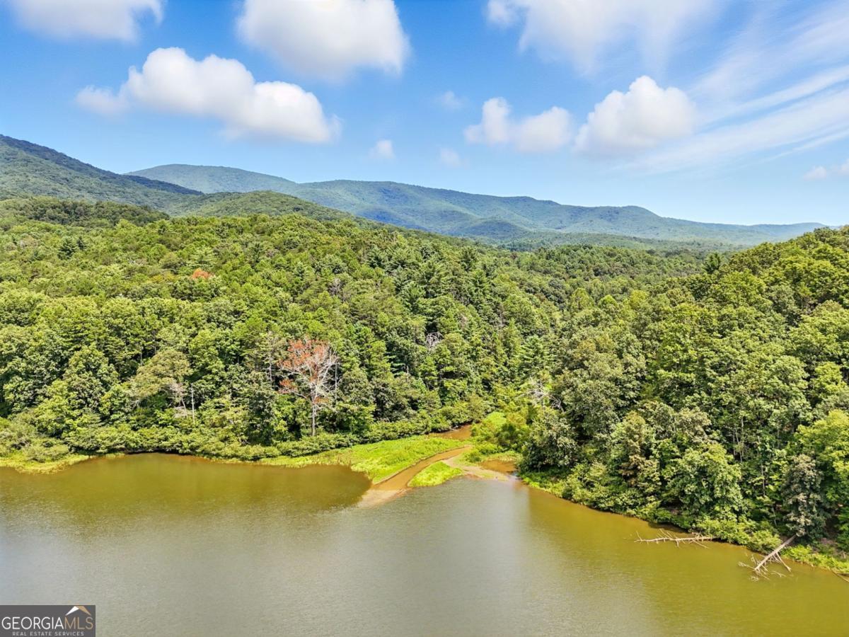 384 Mountain Laurel Drive Ellijay GA 30540