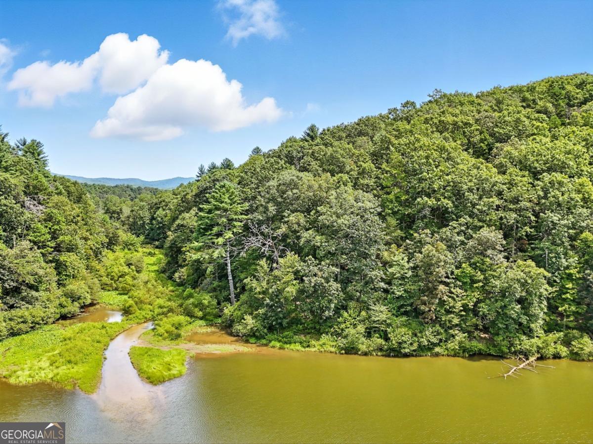384 Mountain Laurel Drive Ellijay GA 30540