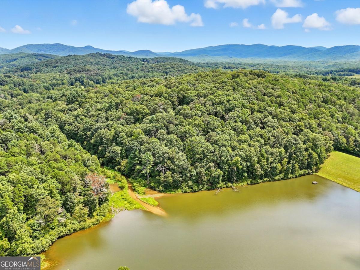 384 Mountain Laurel Drive Ellijay GA 30540