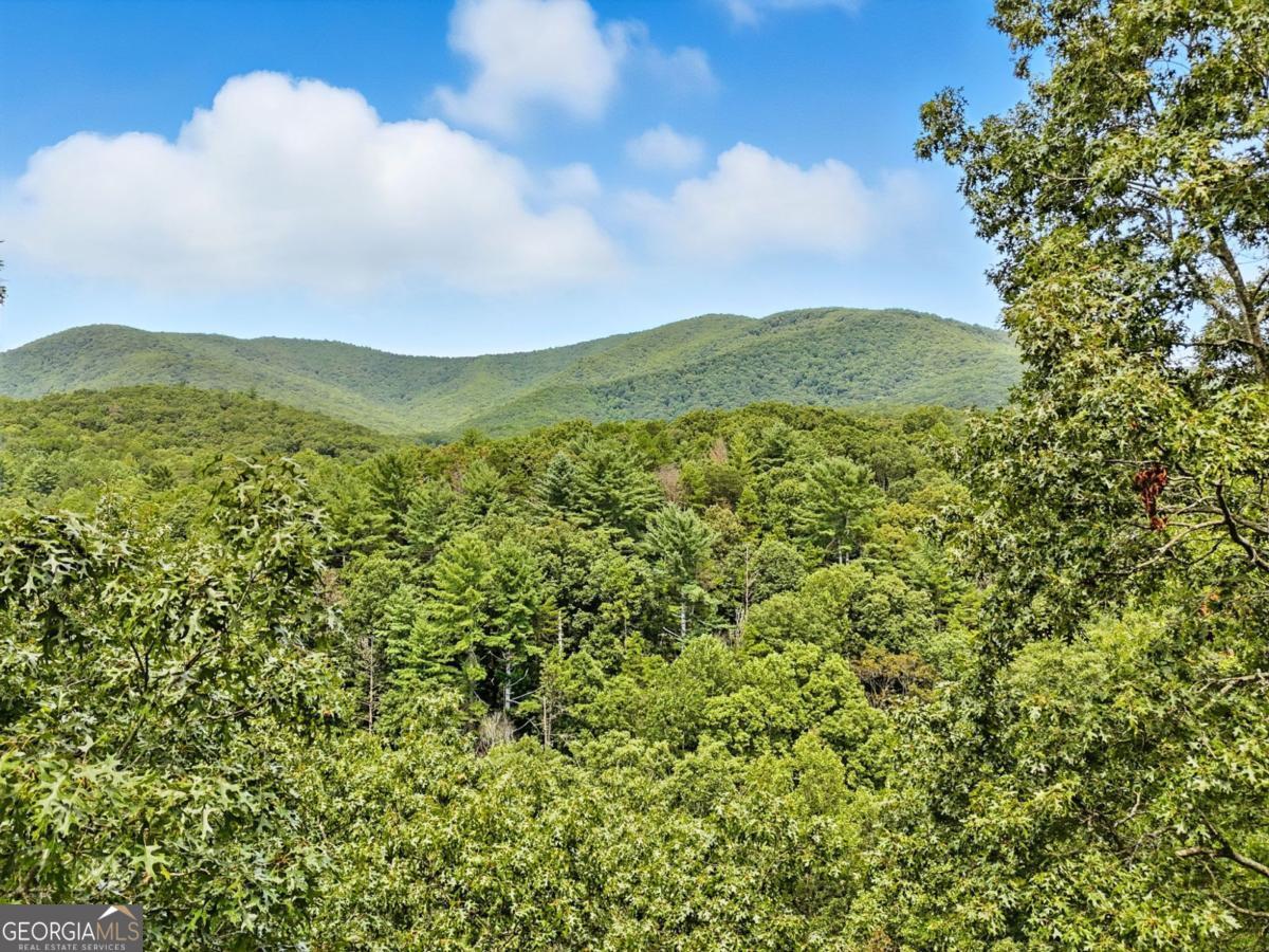 384 Mountain Laurel Drive Ellijay GA 30540