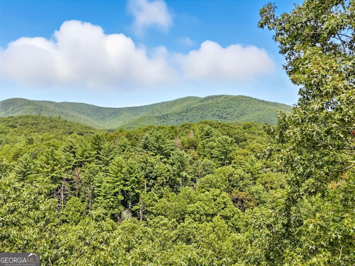 384 Mountain Laurel Drive Ellijay GA 30540