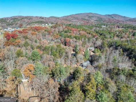 518 Rizzitello Lane Blairsville GA 30512