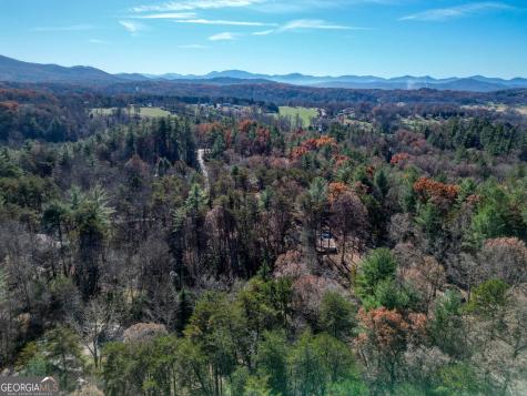 518 Rizzitello Lane Blairsville GA 30512
