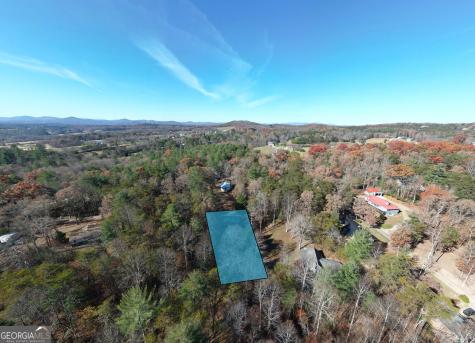 518 Rizzitello Lane Blairsville GA 30512