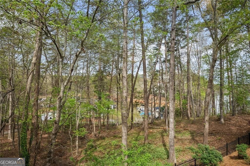 407 Waterfront Park Lane Dawsonville GA 30534