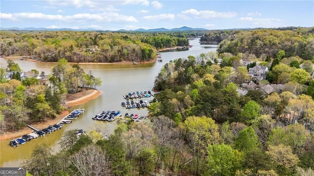 407 Waterfront Park Lane Dawsonville GA 30534