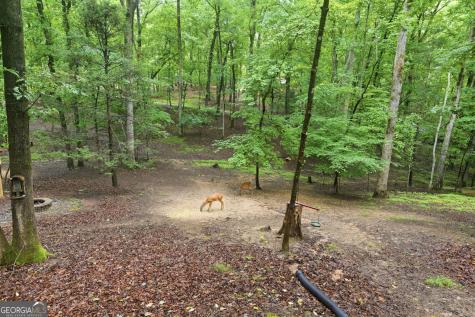 208 Saddle Ridge Drive Blairsville GA 30512