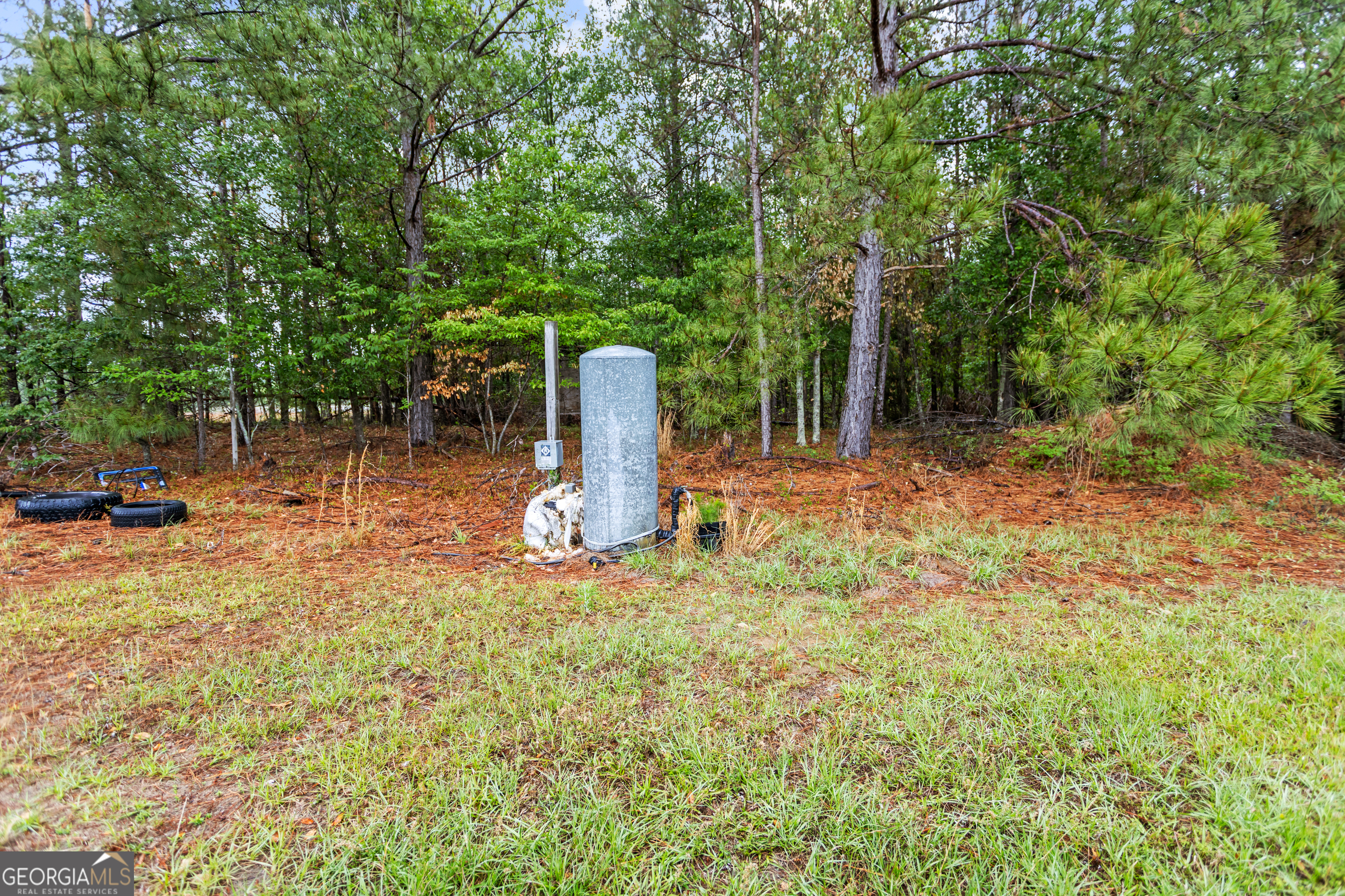 2879 Harden Chapel Lyons GA 30436
