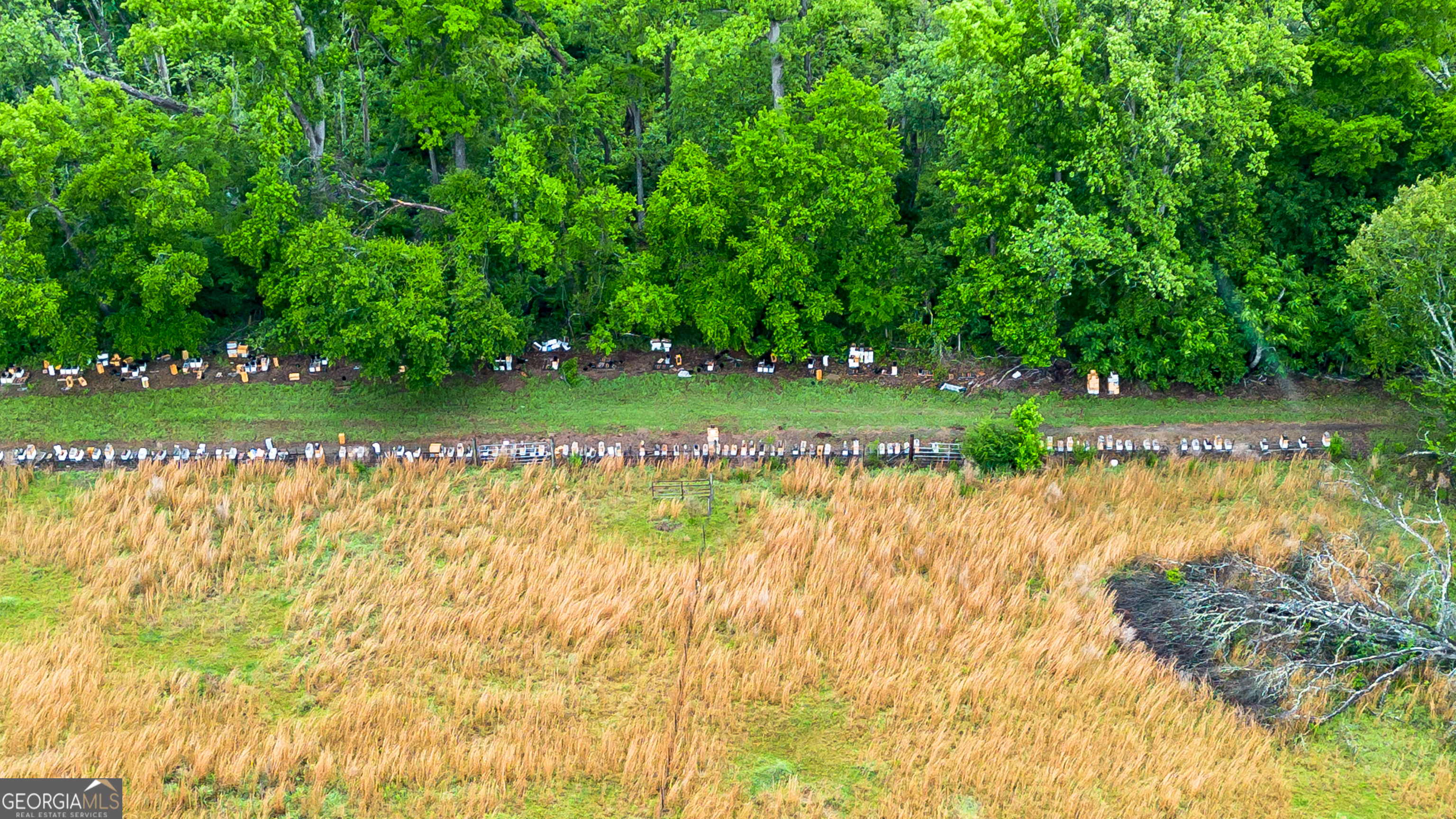2879 Harden Chapel Lyons GA 30436
