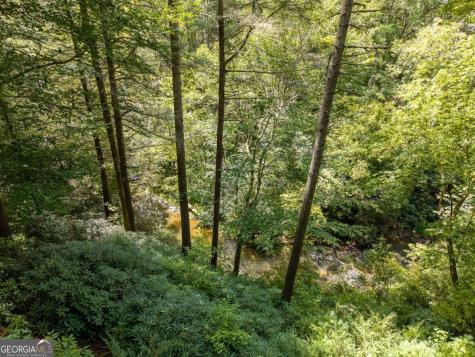 488 Whispering Pine Lane Cherry Log GA 30522