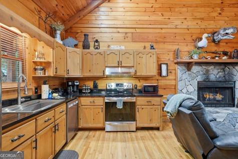 488 Whispering Pine Lane Cherry Log GA 30522