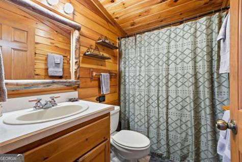 488 Whispering Pine Lane Cherry Log GA 30522