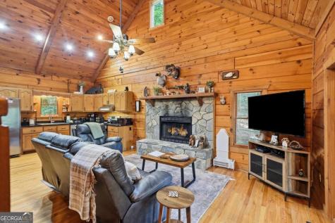 488 Whispering Pine Lane Cherry Log GA 30522