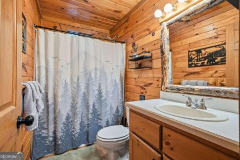488 Whispering Pine Lane Cherry Log GA 30522