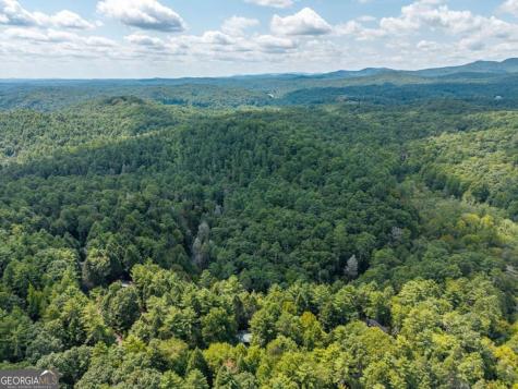 488 Whispering Pine Lane Cherry Log GA 30522