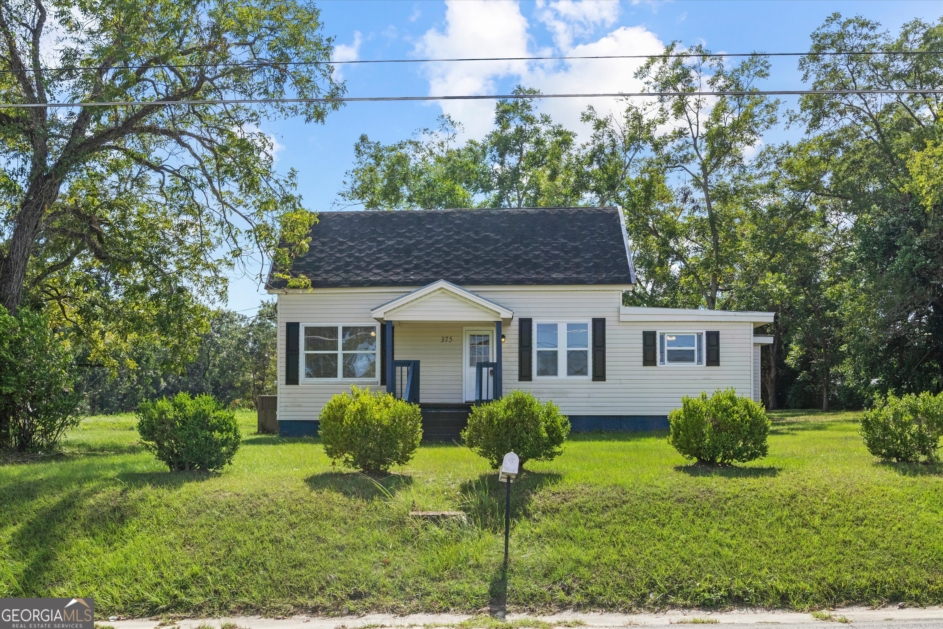 375 Baggs Avenue SE Pelham GA 31779