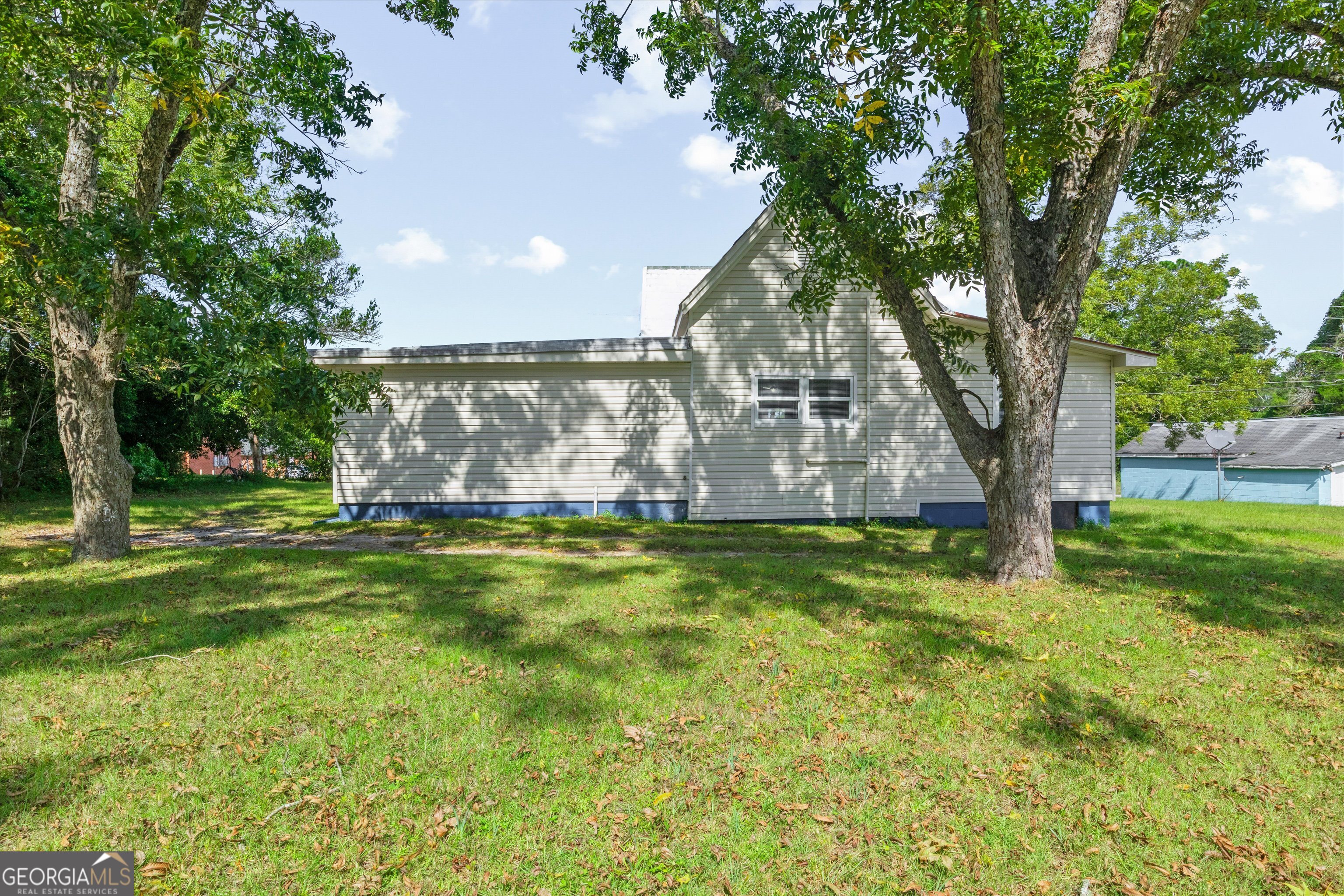 375 Baggs Avenue SE Pelham GA 31779
