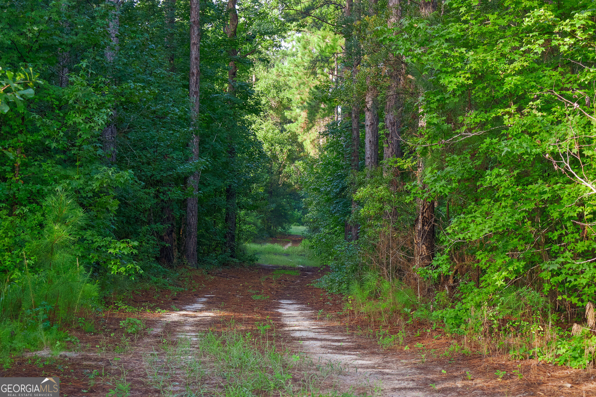 1362 Doyle Road Sardis GA 30456