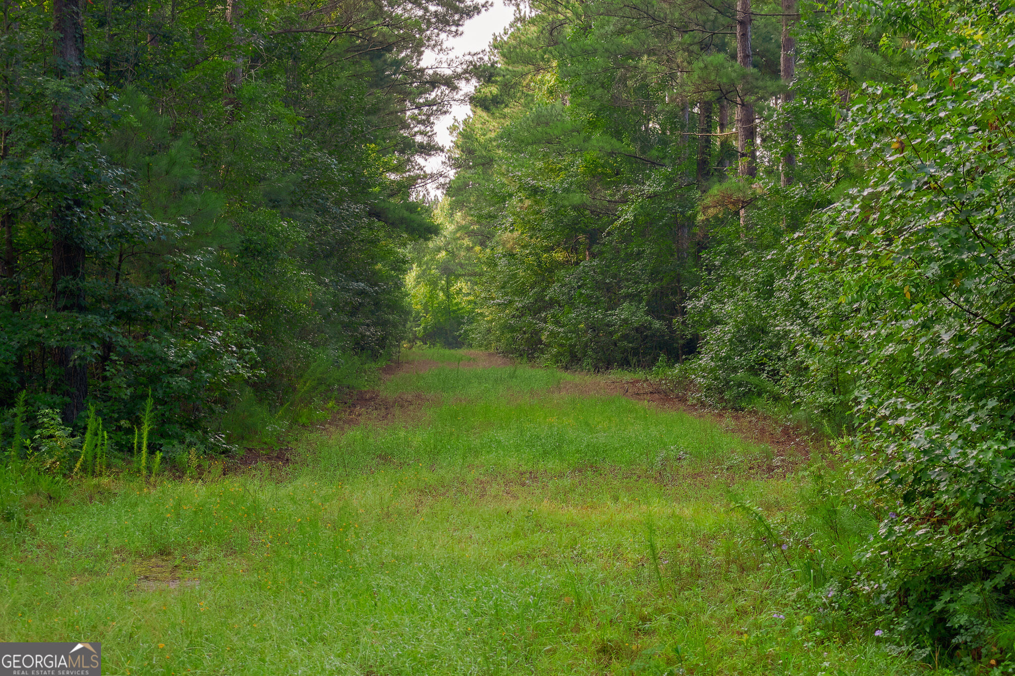 1362 Doyle Road Sardis GA 30456