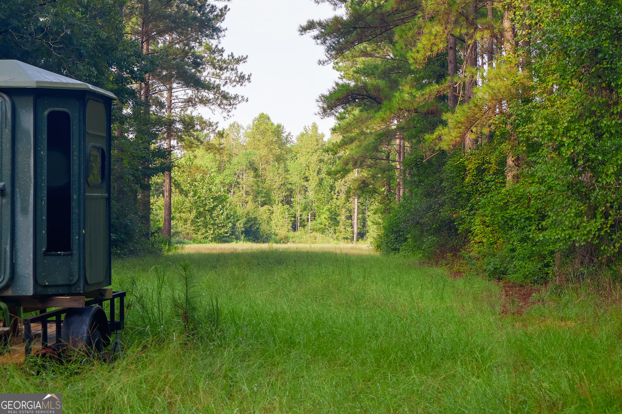 1362 Doyle Road Sardis GA 30456