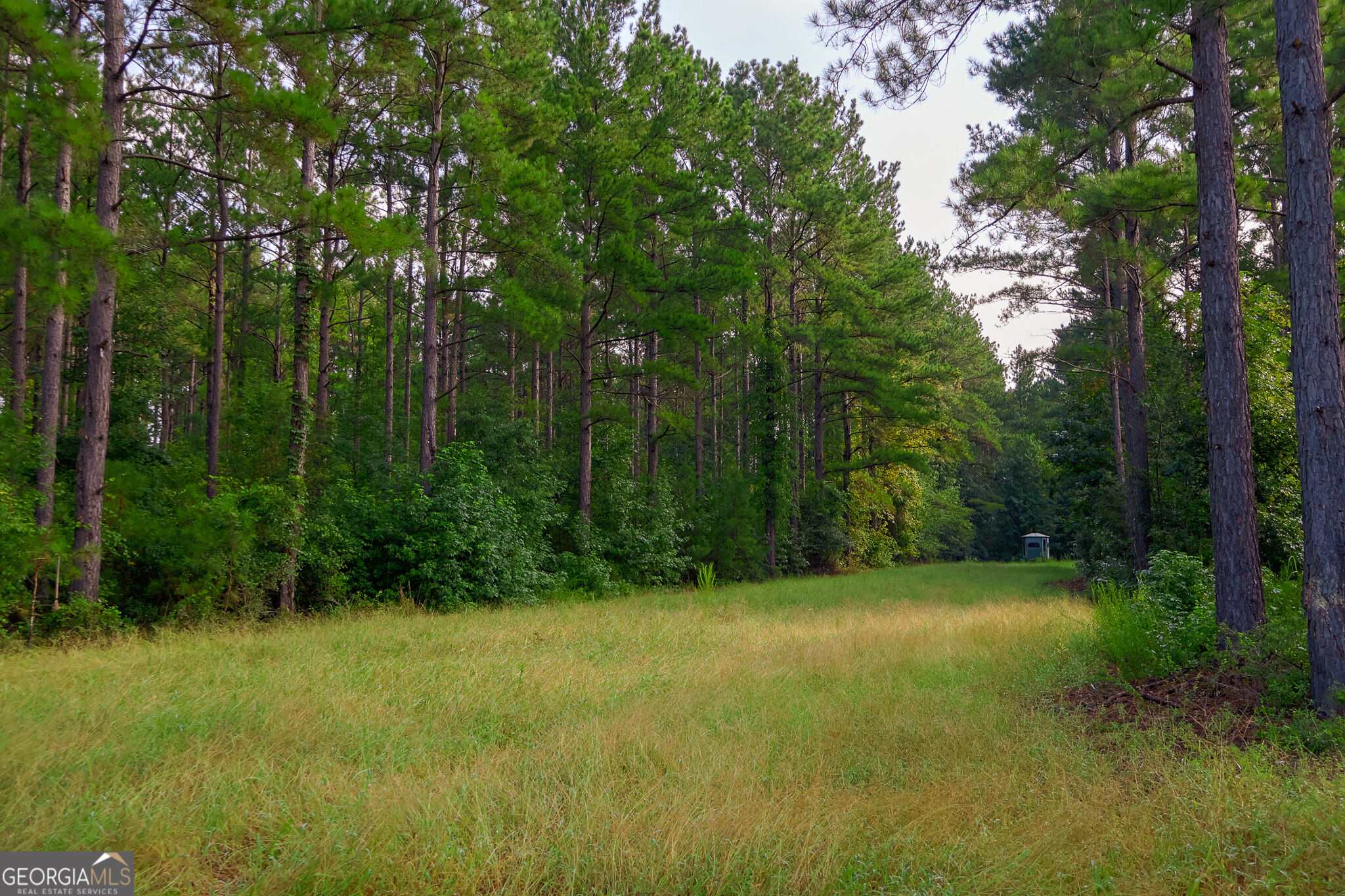 1362 Doyle Road Sardis GA 30456