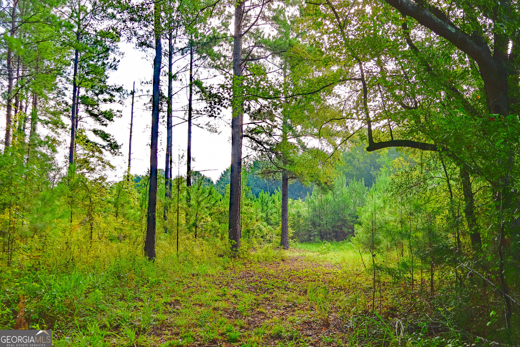 1362 Doyle Road Sardis GA 30456