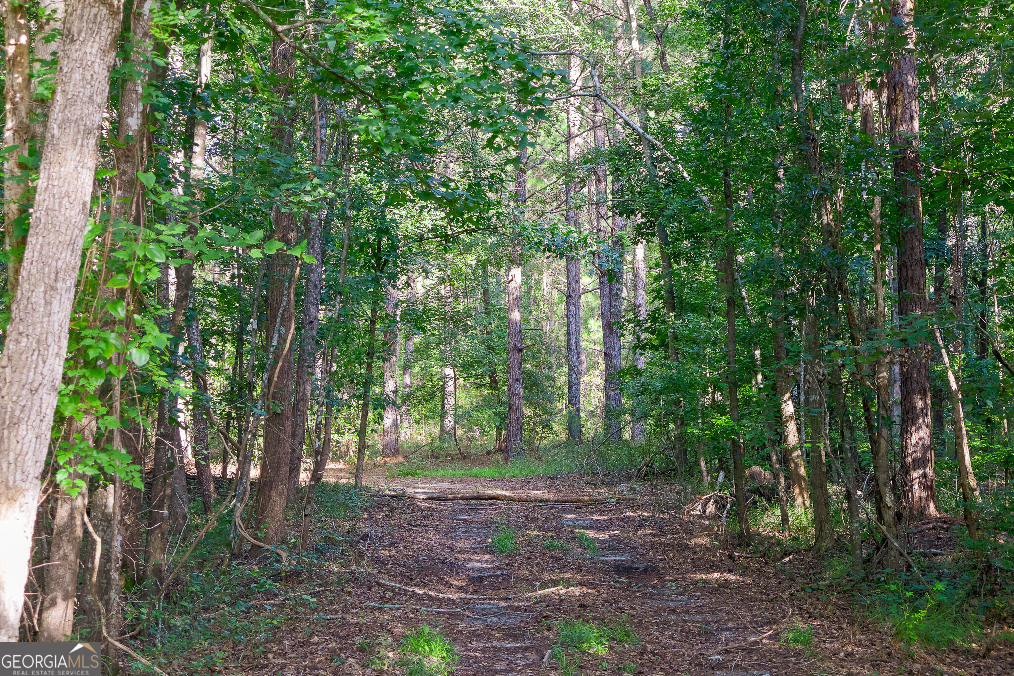 1362 Doyle Road Sardis GA 30456