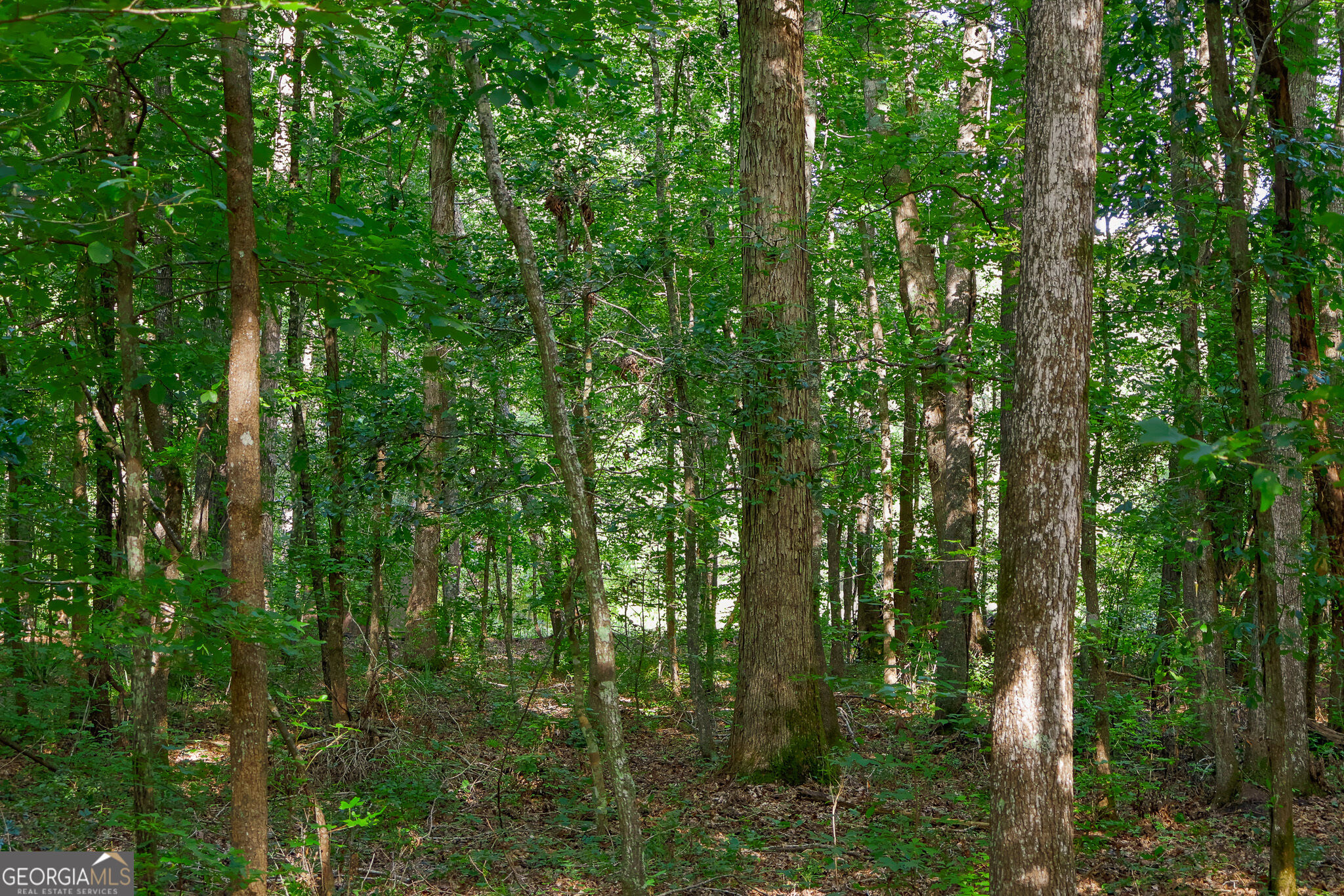 1362 Doyle Road Sardis GA 30456