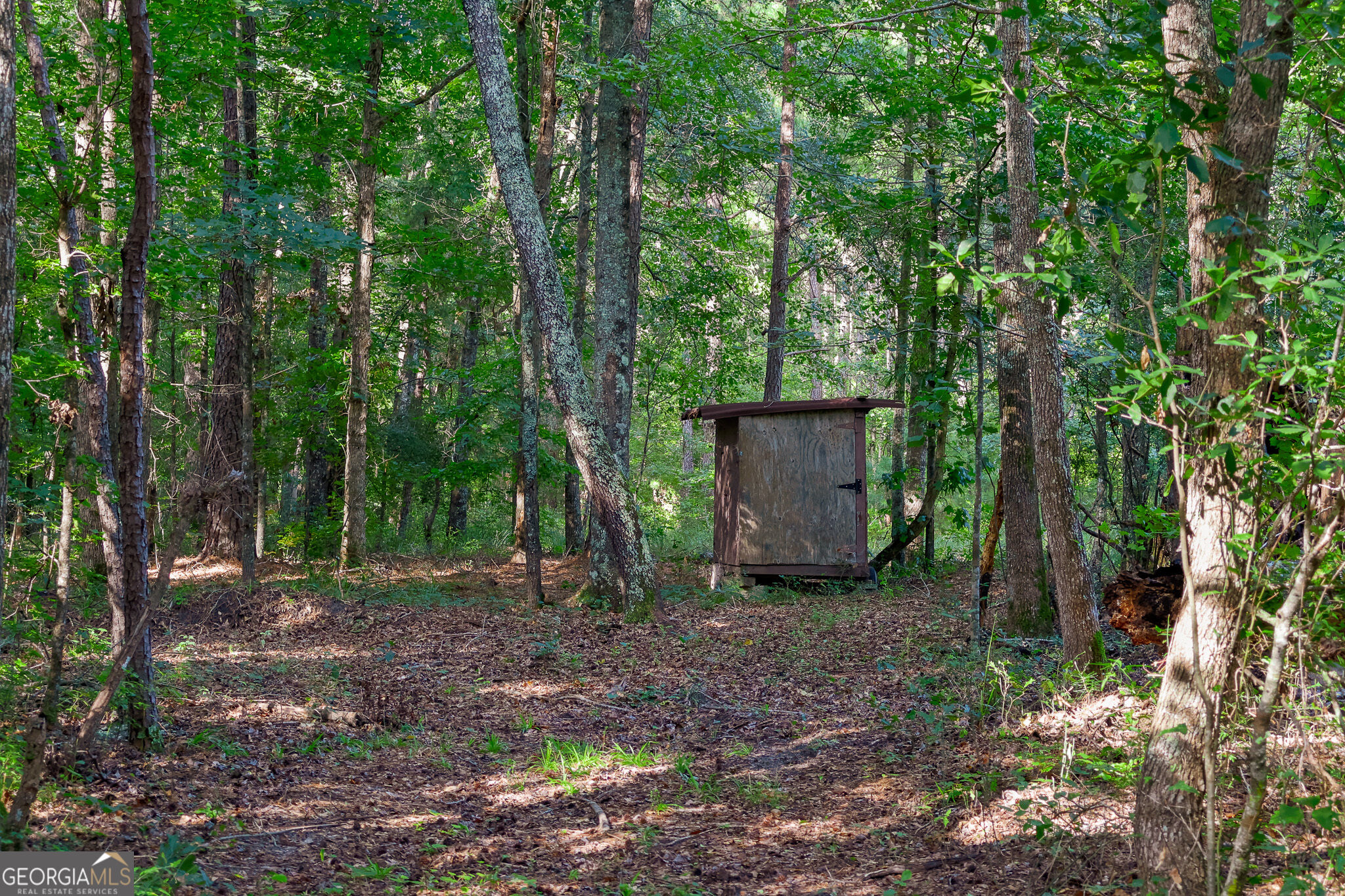 1362 Doyle Road Sardis GA 30456
