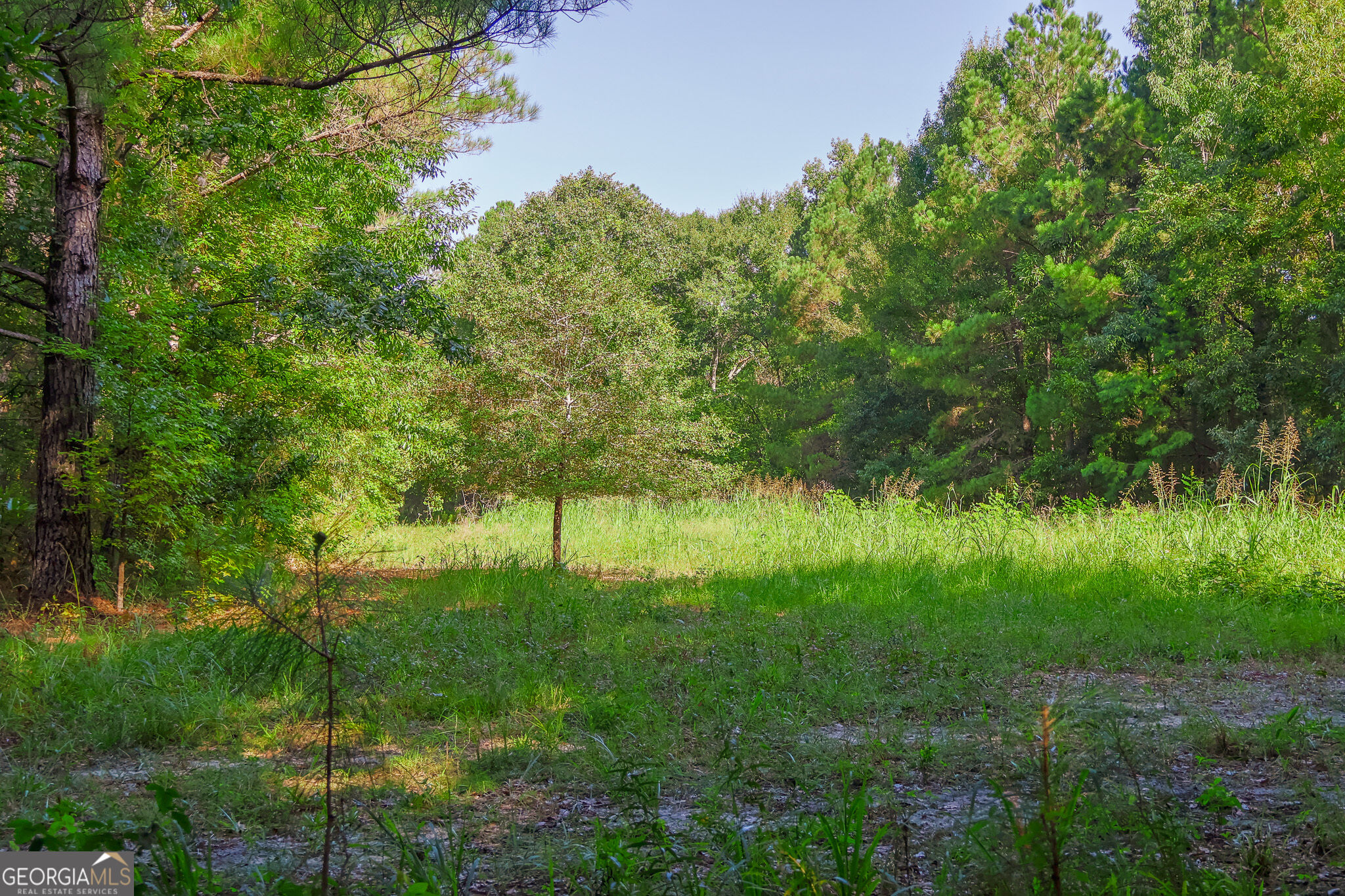 1362 Doyle Road Sardis GA 30456